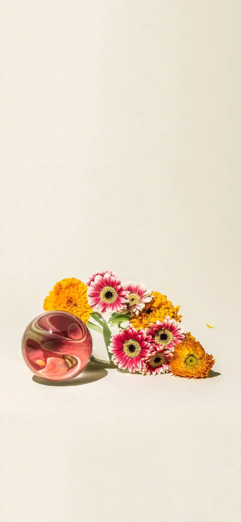 小清新怀旧复古摄影高清手机壁纸