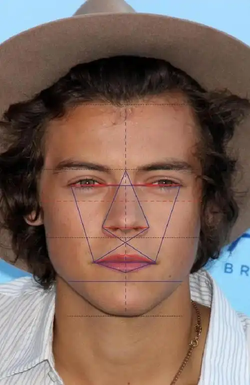 黄金比例脸这些男星帅到没朋友经科学认证的完美