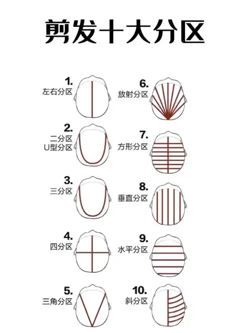 发型设计剪发十大分区