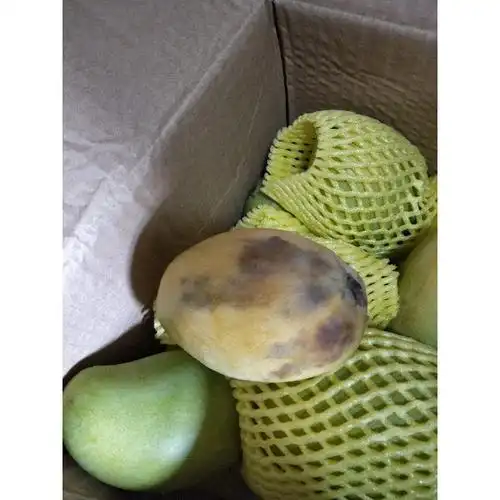 新鲜水果 热带芒果 中果 新鲜水果芒果烂了一个扔了然后又坏-苏宁易购