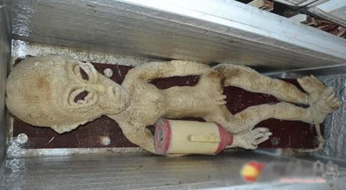 山东男子电死外星人 有图有真相(图)