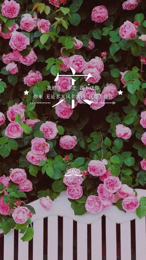 手机壁纸姓氏壁纸我姓宋