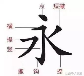 转的第四笔是什么,体的笔顺(提的笔顺(体笔顺是什么)
