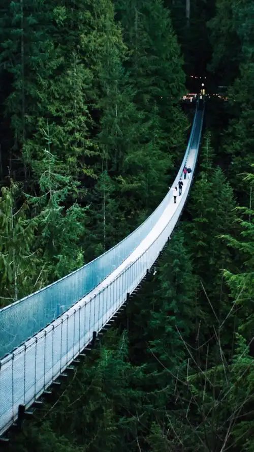 小清新自然手机壁纸风景壁纸吊桥