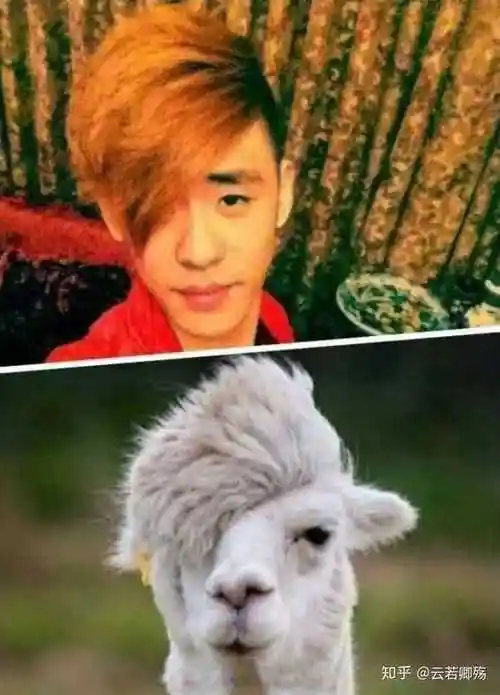 请问谁有德云社或者张云雷比较少见的照片?