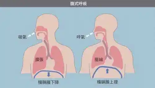 只不过在歌唱中我们需要更好的气息把控和输出,才能让歌声更动听和有"