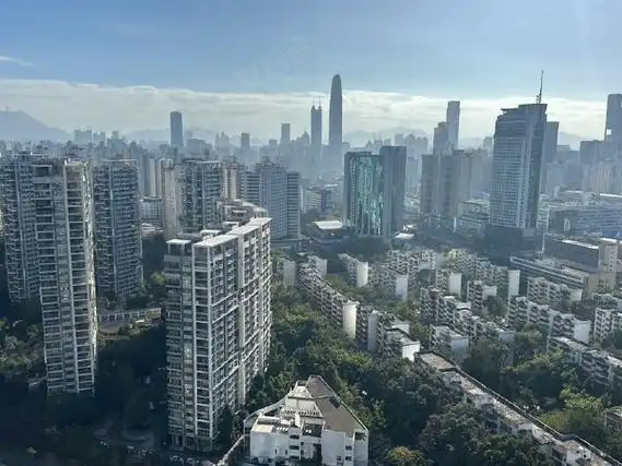 0元 电梯房 豪华装修,福田租房-深圳58安居客