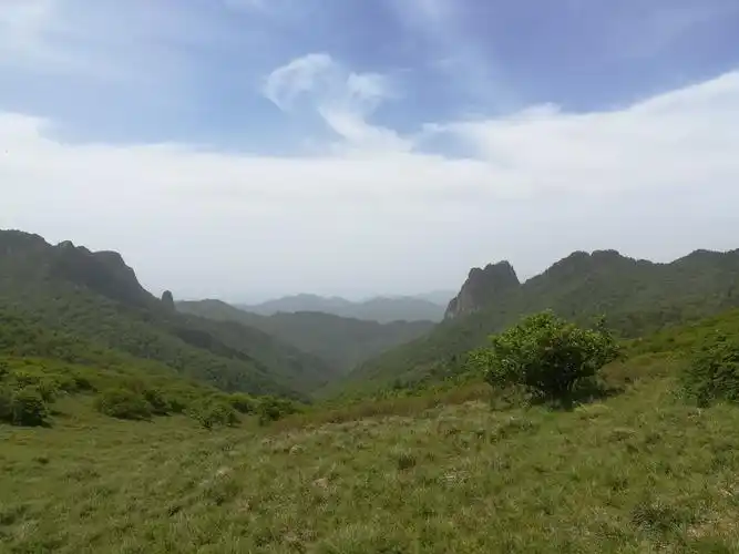 秦岭东坪沟高山草甸