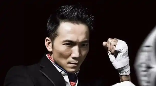 武打明星(武打明星 男演员排行榜)