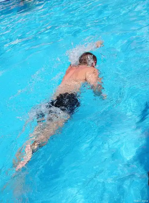 自由泳的正确姿势