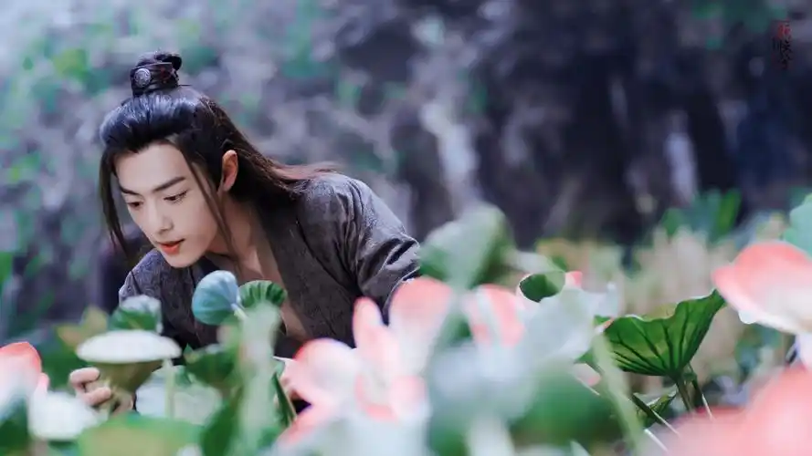 陈情令|魏无羡 - 堆糖,美图壁纸兴趣社区