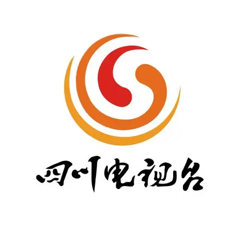 四川电视台标志