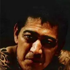 高捷 饰 严仓猛