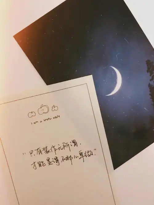 手写适合深夜发的伤感文案眼泪何必执着