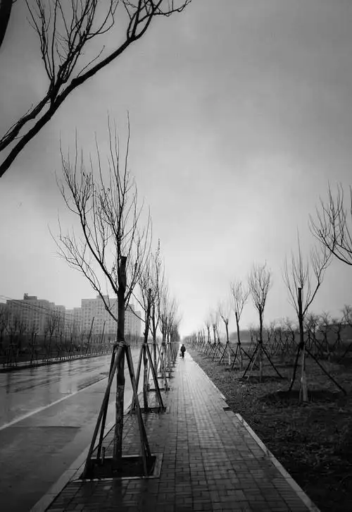 一组唯美意境的黑白胶片美图,你值得收藏