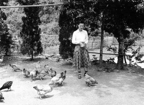 患有红斑狼疮的赵四小姐活到88岁你还在怕什么