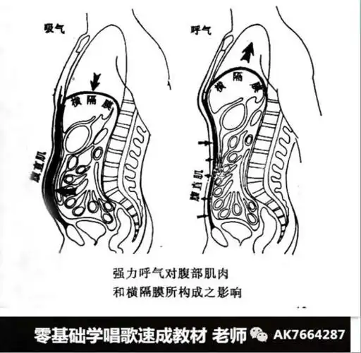唱歌发声共鸣的训练方法与技巧