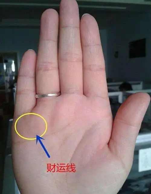 所谓钱财纹,是指小指根部与无名指根部之间出现的细的纹线.