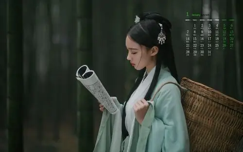 2019年1月古装青衫医女唯美高清日历壁纸