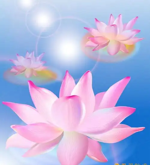 如何炼心,养心,修心?——广钦老和尚开示