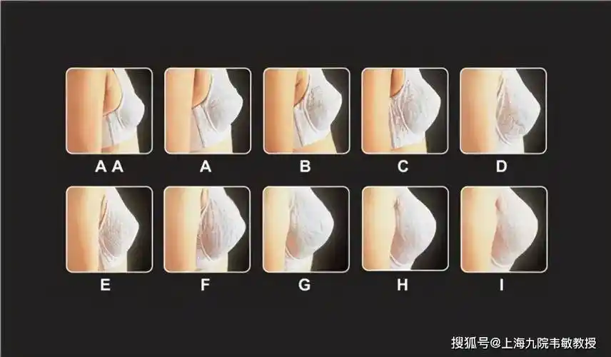 形状以半球状为最佳,乳房的皮肤润泽有弹性,颜色与全身的肤色相一致为