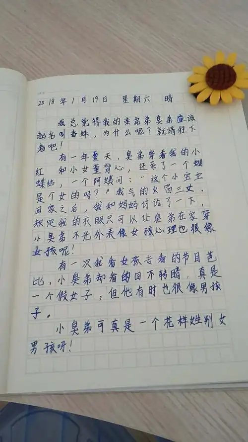 童心像小鸟(2019年1月19日 三2班作文展)