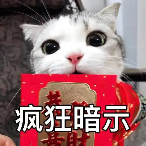 喵星人疯狂暗示要红包喵星人红包暗示疯狂表情