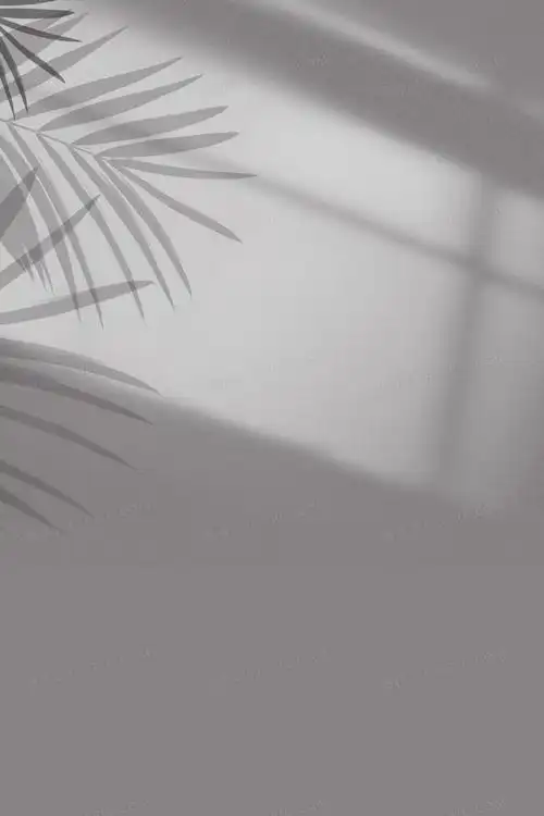 2361jpgpsd悠闲午后阳光投影背景4724 × 2362jpgpsd简约清新窗户