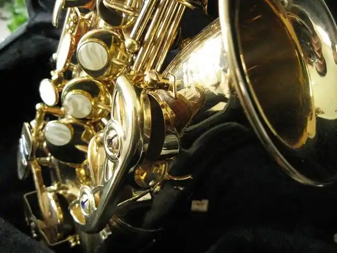 黑管是哪种木管乐器