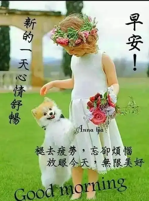 朋友圈最新早上好问候祝福语录图片,早安问候正能量励志心情说说