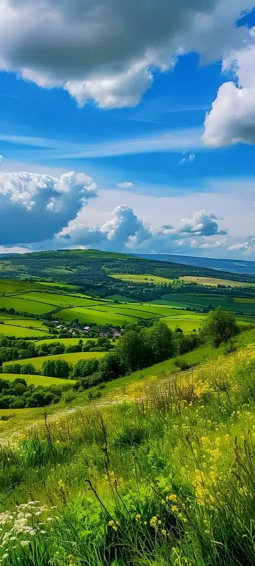 壁纸 草原 桌面 1080_2395 竖版 竖屏 手机