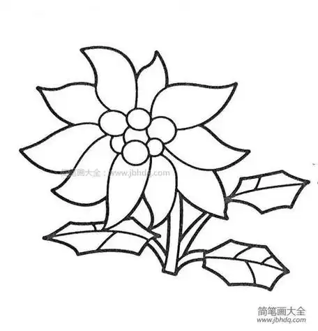 关于的花朵简笔画书报