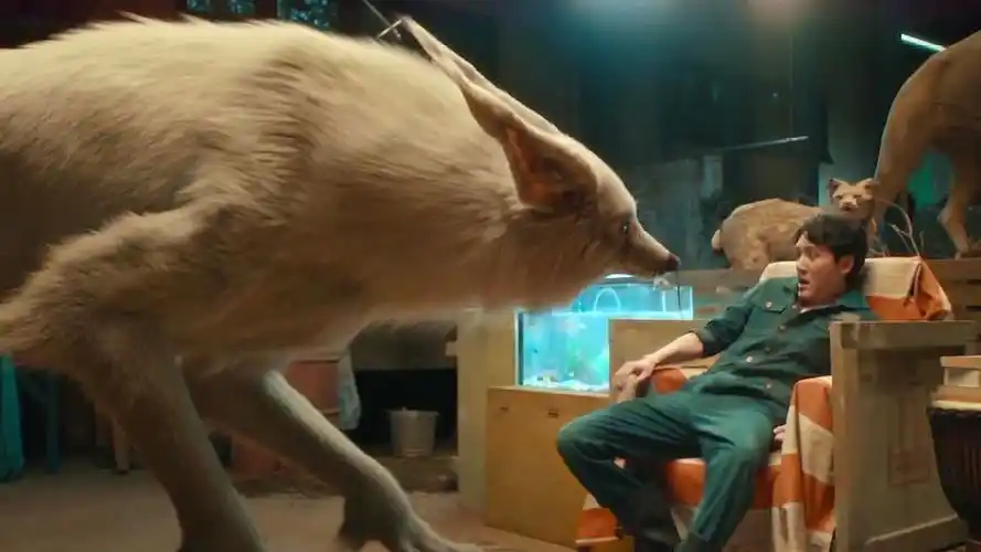 182 次播放狐狸民间传说传说妖怪成精文学相关推荐 2:48二代妖