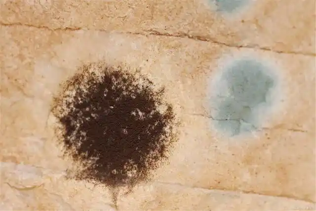 检测多个样品中的一系列霉菌毒素—用于免疫分析多路微流系统