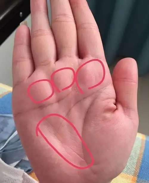 大富大贵女人的手相 富贵女人旺夫的手相特征_达一风水网