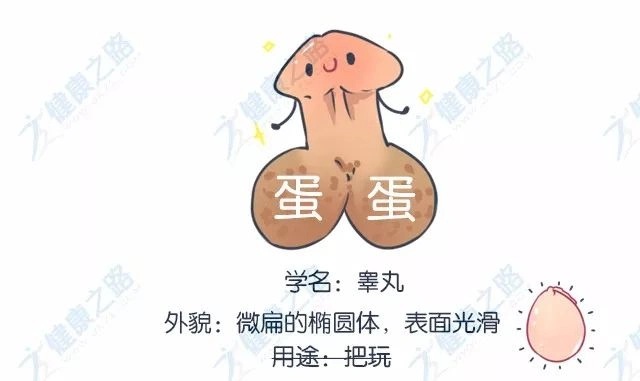 18禁丨听说男生除了比丁丁,还会比谁的蛋大?蛋大了有什么用?