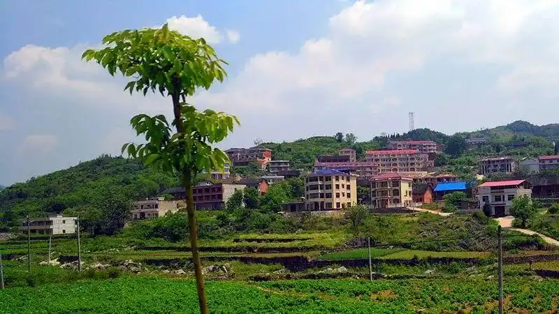 快看邵东市4乡18镇都在这里