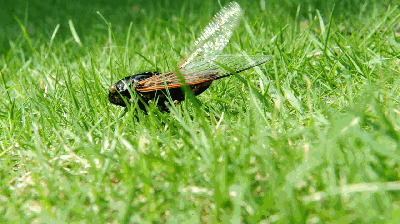 400_224gif 动态图 动图