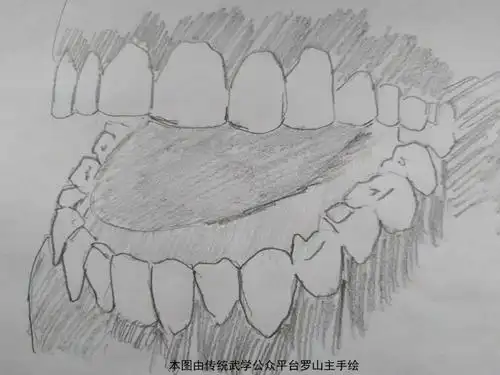 解密古人不刷牙却到老还牙齿坚固千金不换的功法