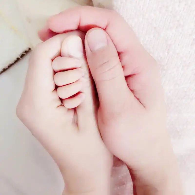 2018年是很特别的一年,我