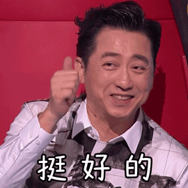 中国好声音庾澄庆挺好的搞怪gif动图_动态图_表情包下载_soogif