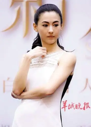 媒体称林青霞曾拒演张柏芝母亲