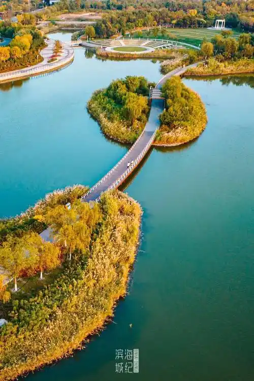 滨海新区_塘沽_天津