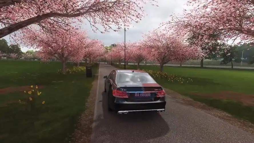 地平线4樱花开了许个愿吧