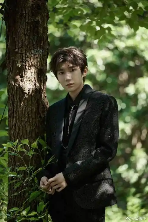 王源黑色金闪西装##王源