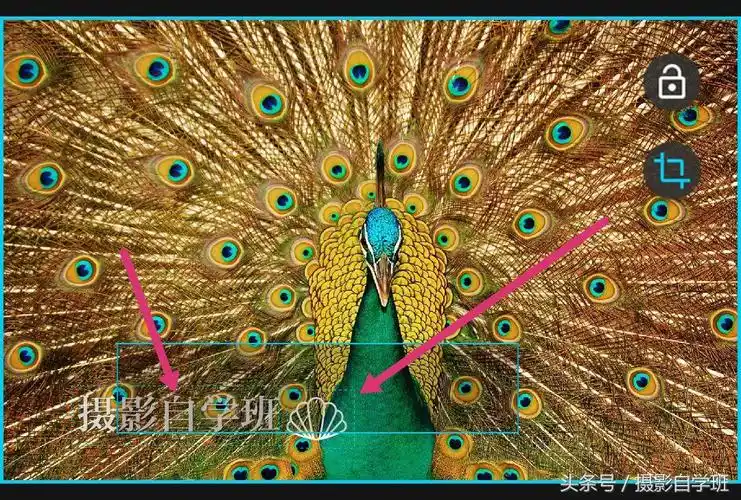 用手机为图片加水印,操作方法