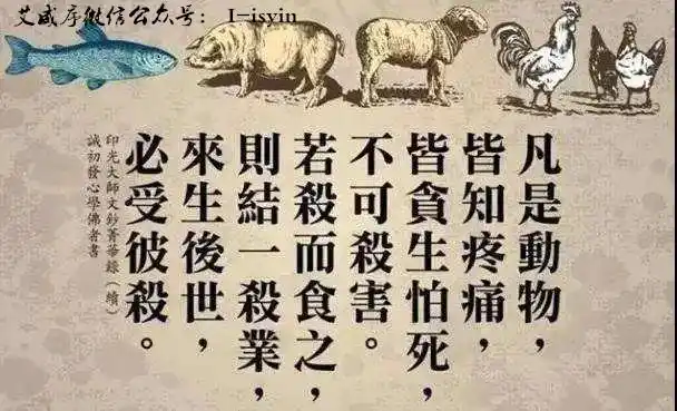 办酒席大量杀生后的惨烈果报