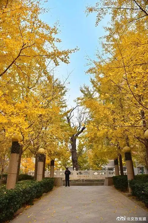 东花市街道黄昏美景