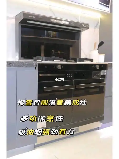 多方比较后,非常中意这款樱雪智 能语音集成灶2202