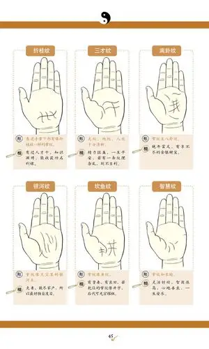 看相【看相总站】邵长文面相手相图解